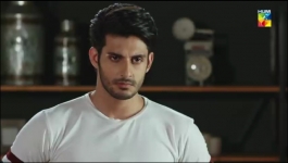 Bichoo - 15th Jun 2022